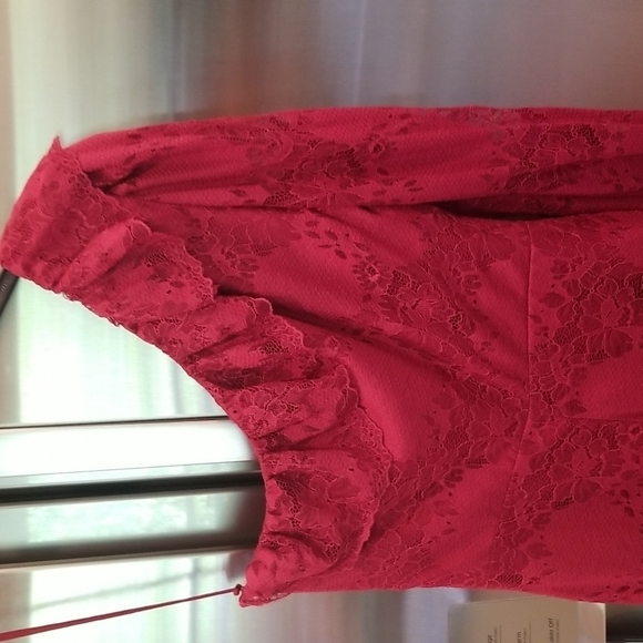 💕ALEXIS💕 Ilana Lace Long Sleeve Dress ~ Dark Red XS One Shoulder Sheath Dress - Picture 11 of 14
